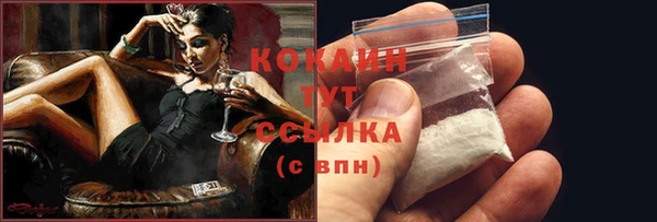 прущие грибы Богородицк