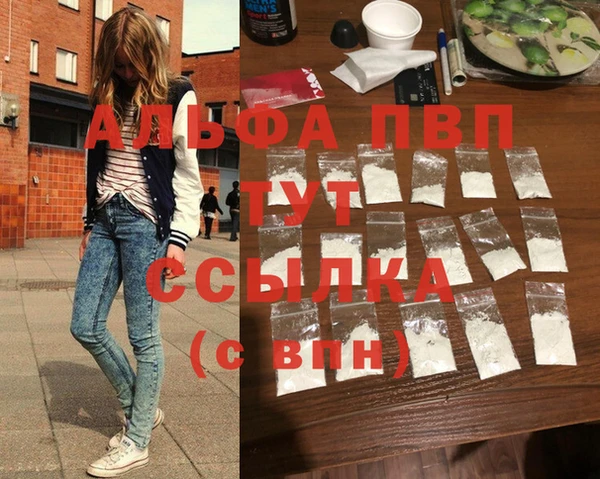 прущие грибы Богородицк