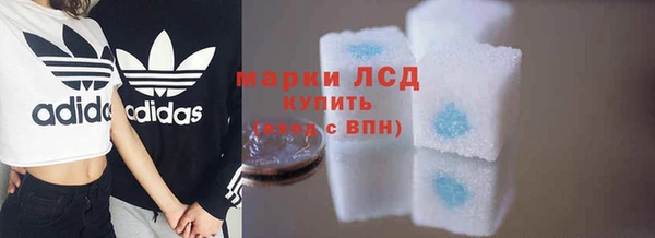 прущие грибы Богородицк