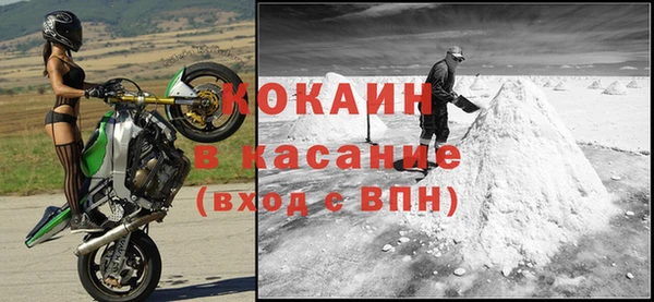 прущие грибы Богородицк