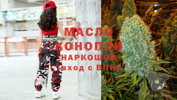 прущий лед Богданович