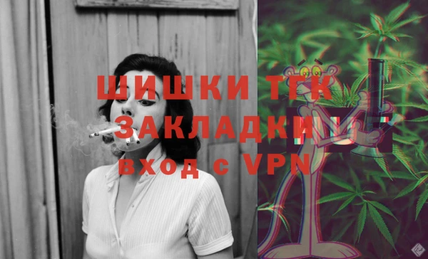 прущий лед Богданович