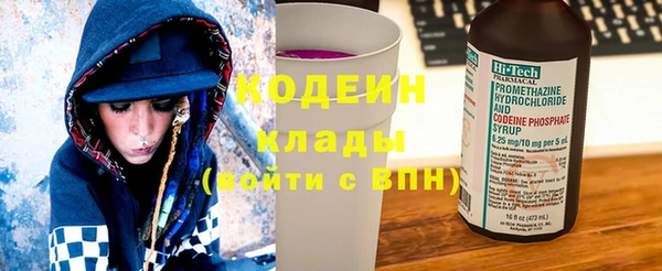 прущие грибы Богородицк