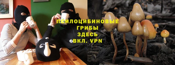 первитин Богородск