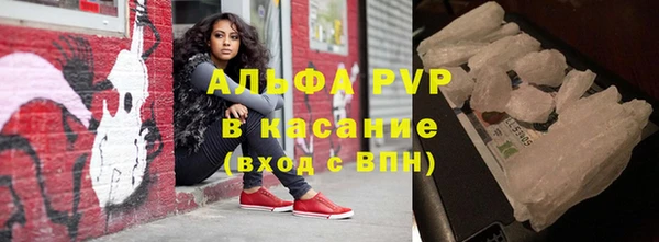 прущие грибы Богородицк