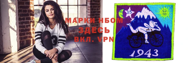 прущие грибы Богородицк