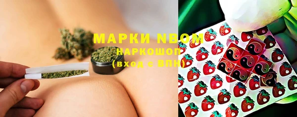 прущие грибы Богородицк